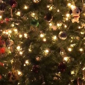 Meet your Posher, Diana